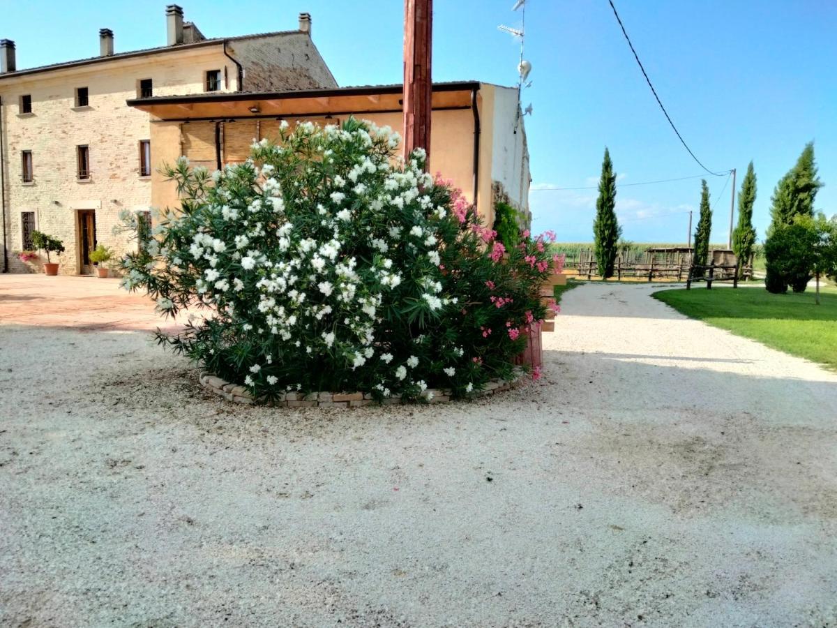 B&B Turistic 7 Castel Goffredo Exteriör bild